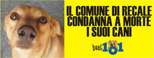 salviamo i cani di recale